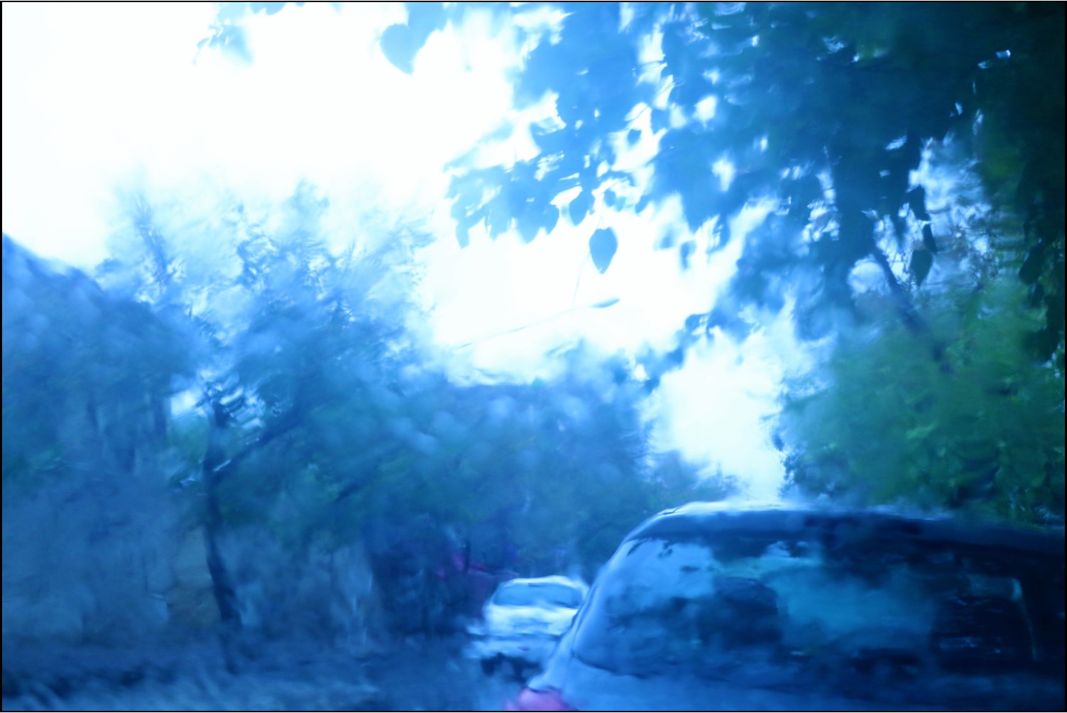 روزنه‌ای بر باران پاییزی شیراز